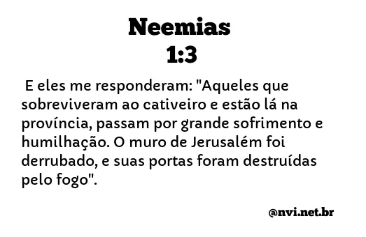 NEEMIAS 1:3 NVI NOVA VERSÃO INTERNACIONAL