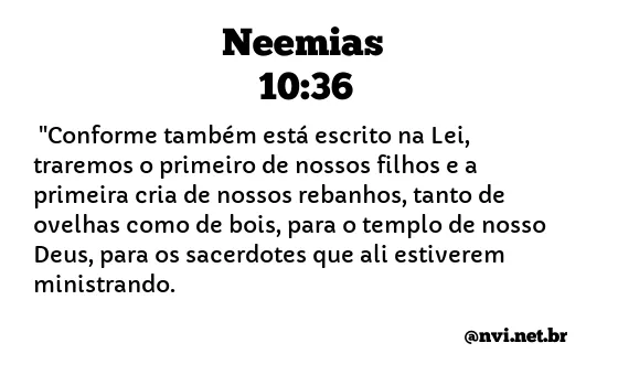 NEEMIAS 10:36 NVI NOVA VERSÃO INTERNACIONAL