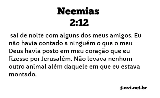 NEEMIAS 2:12 NVI NOVA VERSÃO INTERNACIONAL