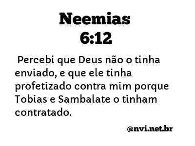 NEEMIAS 6:12 NVI NOVA VERSÃO INTERNACIONAL