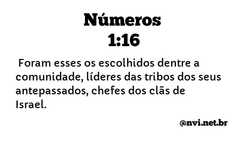 NÚMEROS 1:16 NVI NOVA VERSÃO INTERNACIONAL