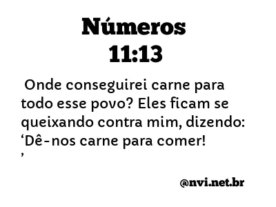 NÚMEROS 11:13 NVI NOVA VERSÃO INTERNACIONAL