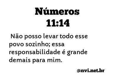 NÚMEROS 11:14 NVI NOVA VERSÃO INTERNACIONAL