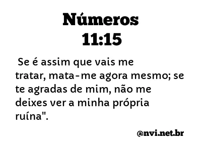 NÚMEROS 11:15 NVI NOVA VERSÃO INTERNACIONAL