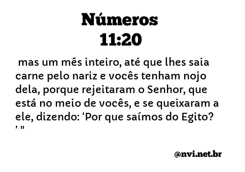 NÚMEROS 11:20 NVI NOVA VERSÃO INTERNACIONAL