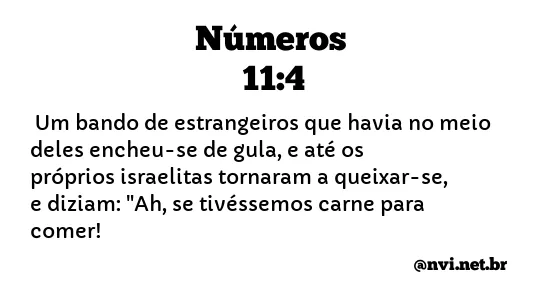 NÚMEROS 11:4 NVI NOVA VERSÃO INTERNACIONAL