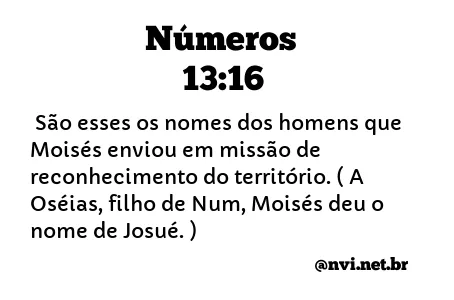 NÚMEROS 13:16 NVI NOVA VERSÃO INTERNACIONAL