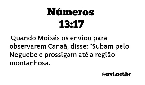 NÚMEROS 13:17 NVI NOVA VERSÃO INTERNACIONAL