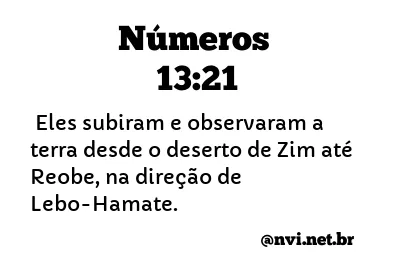 NÚMEROS 13:21 NVI NOVA VERSÃO INTERNACIONAL