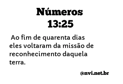 NÚMEROS 13:25 NVI NOVA VERSÃO INTERNACIONAL