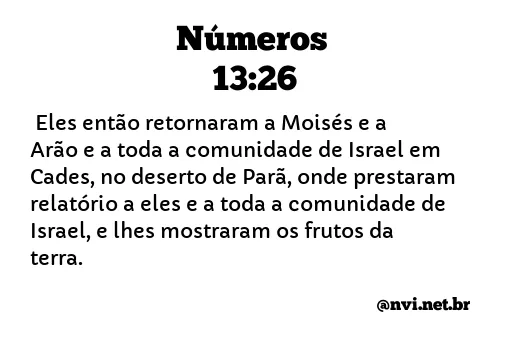 NÚMEROS 13:26 NVI NOVA VERSÃO INTERNACIONAL