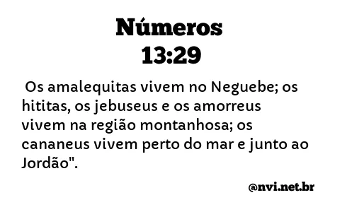 NÚMEROS 13:29 NVI NOVA VERSÃO INTERNACIONAL