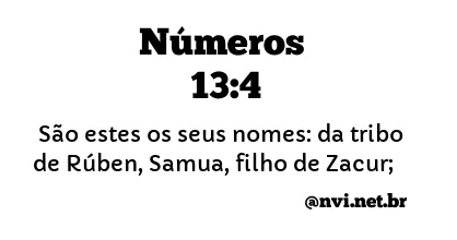 NÚMEROS 13:4 NVI NOVA VERSÃO INTERNACIONAL