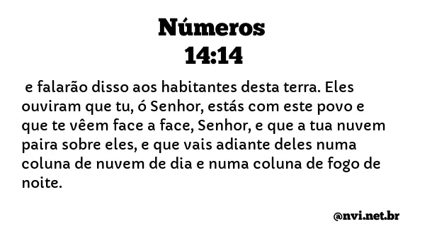 NÚMEROS 14:14 NVI NOVA VERSÃO INTERNACIONAL