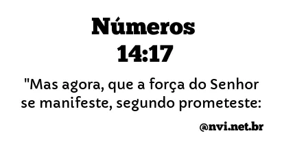 NÚMEROS 14:17 NVI NOVA VERSÃO INTERNACIONAL