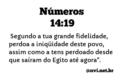 NÚMEROS 14:19 NVI NOVA VERSÃO INTERNACIONAL