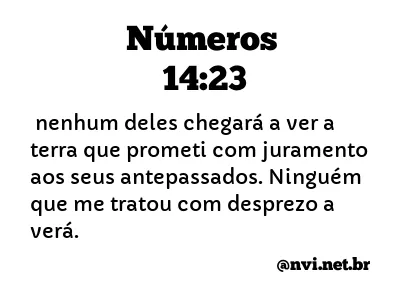 NÚMEROS 14:23 NVI NOVA VERSÃO INTERNACIONAL