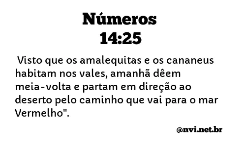 NÚMEROS 14:25 NVI NOVA VERSÃO INTERNACIONAL