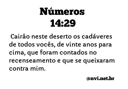 NÚMEROS 14:29 NVI NOVA VERSÃO INTERNACIONAL