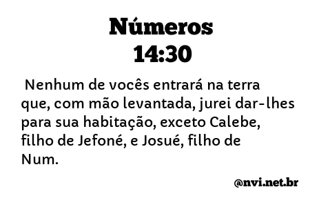 NÚMEROS 14:30 NVI NOVA VERSÃO INTERNACIONAL