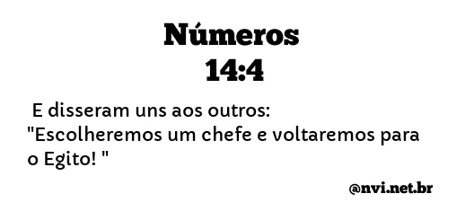 NÚMEROS 14:4 NVI NOVA VERSÃO INTERNACIONAL