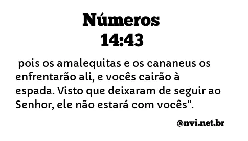 NÚMEROS 14:43 NVI NOVA VERSÃO INTERNACIONAL