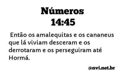 NÚMEROS 14:45 NVI NOVA VERSÃO INTERNACIONAL