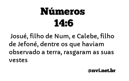 NÚMEROS 14:6 NVI NOVA VERSÃO INTERNACIONAL