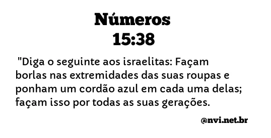 NÚMEROS 15:38 NVI NOVA VERSÃO INTERNACIONAL