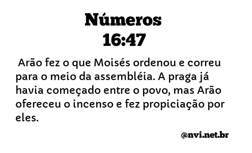 NÚMEROS 16:47 NVI NOVA VERSÃO INTERNACIONAL