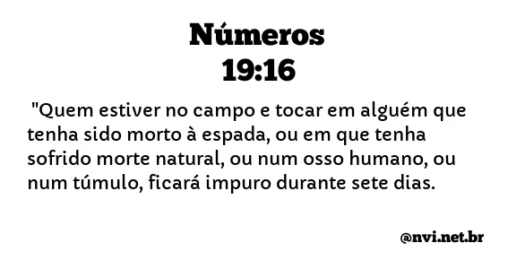 NÚMEROS 19:16 NVI NOVA VERSÃO INTERNACIONAL