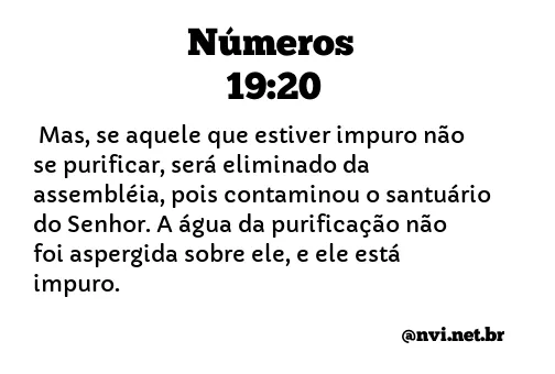 NÚMEROS 19:20 NVI NOVA VERSÃO INTERNACIONAL