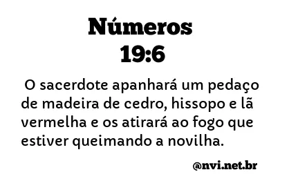 NÚMEROS 19:6 NVI NOVA VERSÃO INTERNACIONAL