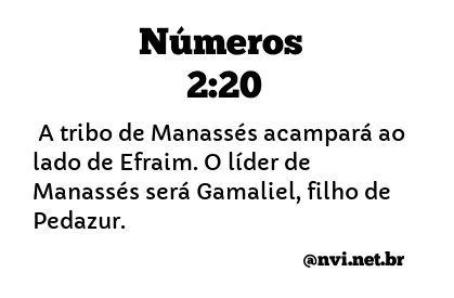 NÚMEROS 2:20 NVI NOVA VERSÃO INTERNACIONAL