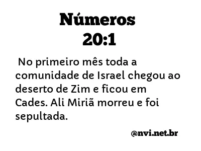 NÚMEROS 20:1 NVI NOVA VERSÃO INTERNACIONAL