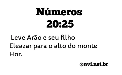 NÚMEROS 20:25 NVI NOVA VERSÃO INTERNACIONAL