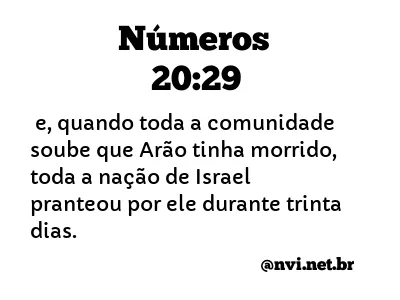 NÚMEROS 20:29 NVI NOVA VERSÃO INTERNACIONAL