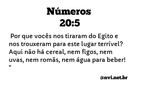 NÚMEROS 20:5 NVI NOVA VERSÃO INTERNACIONAL