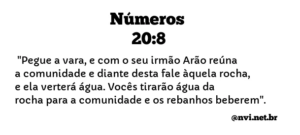 NÚMEROS 20:8 NVI NOVA VERSÃO INTERNACIONAL