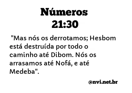 NÚMEROS 21:30 NVI NOVA VERSÃO INTERNACIONAL