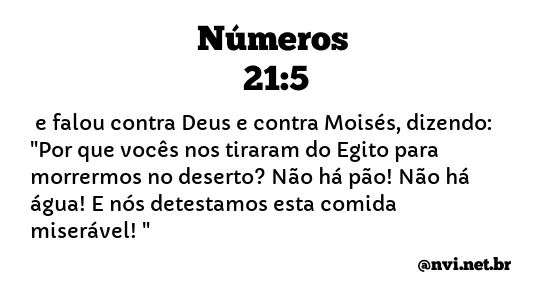 NÚMEROS 21:5 NVI NOVA VERSÃO INTERNACIONAL