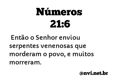 NÚMEROS 21:6 NVI NOVA VERSÃO INTERNACIONAL