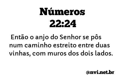 NÚMEROS 22:24 NVI NOVA VERSÃO INTERNACIONAL