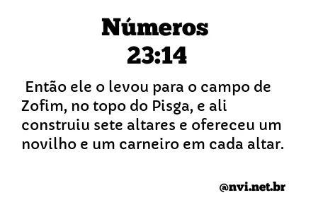 NÚMEROS 23:14 NVI NOVA VERSÃO INTERNACIONAL