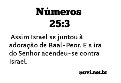 NÚMEROS 25:3 NVI NOVA VERSÃO INTERNACIONAL