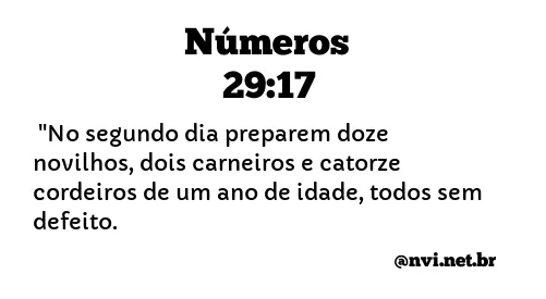 NÚMEROS 29:17 NVI NOVA VERSÃO INTERNACIONAL