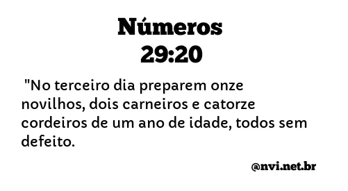 NÚMEROS 29:20 NVI NOVA VERSÃO INTERNACIONAL