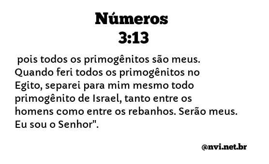 NÚMEROS 3:13 NVI NOVA VERSÃO INTERNACIONAL