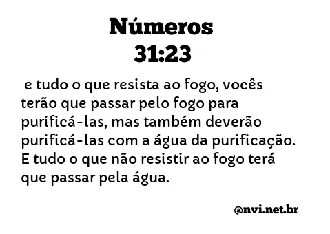 NÚMEROS 31:23 NVI NOVA VERSÃO INTERNACIONAL