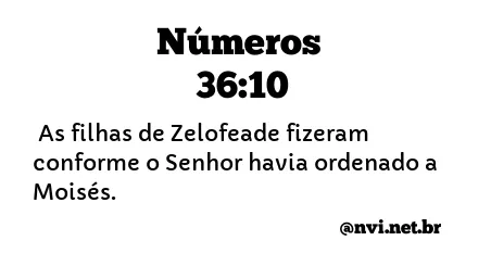 NÚMEROS 36:10 NVI NOVA VERSÃO INTERNACIONAL